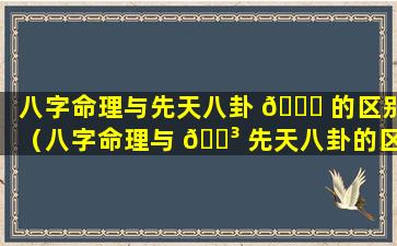 八字命理与先天八卦 🕊 的区别（八字命理与 🌳 先天八卦的区别是什么）